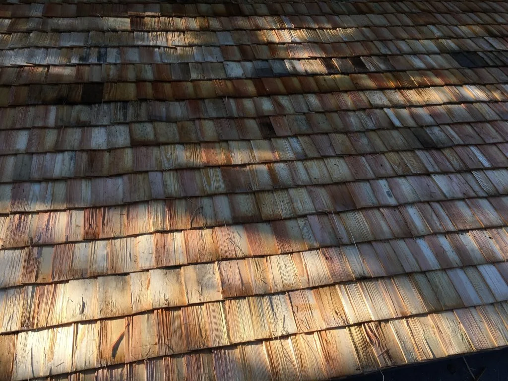 Ny medlem – Träbiten i Bleka